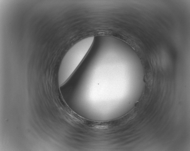 X0000080750653200612150959