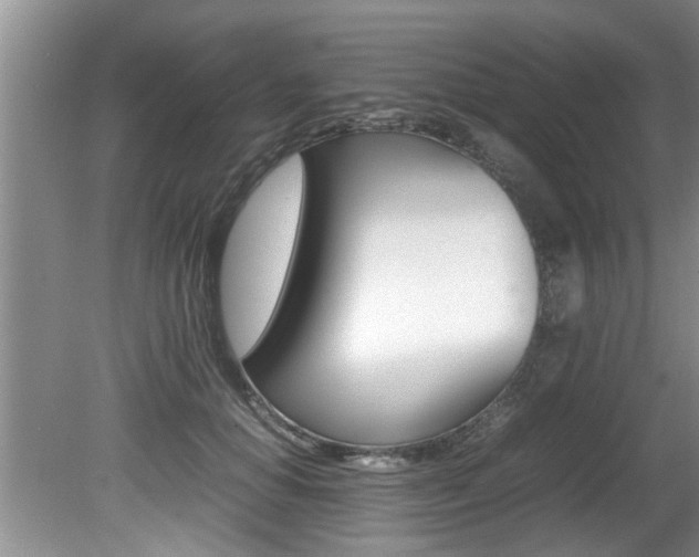 X0000080750654200612150959