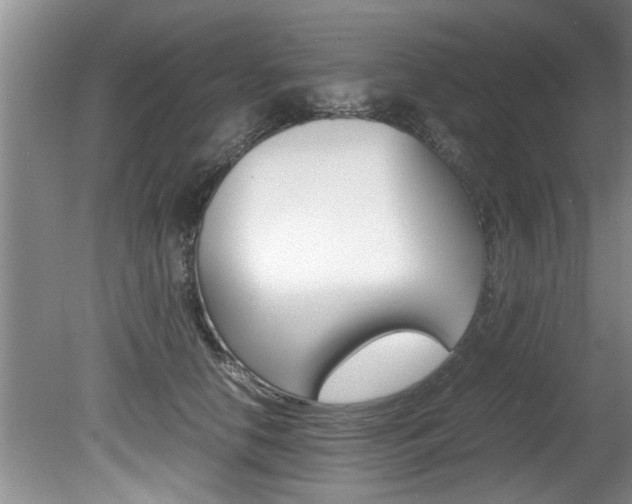 X0000080750658200612150959