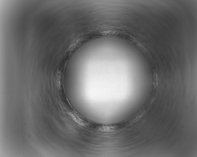 X0000080750664200612150959