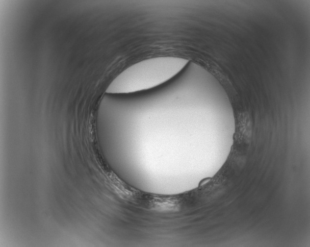 X0000080750667200612150959