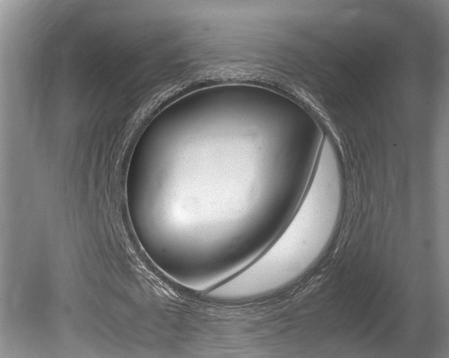 X0000080750673200612150958