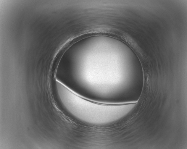 X0000080750676200612150958
