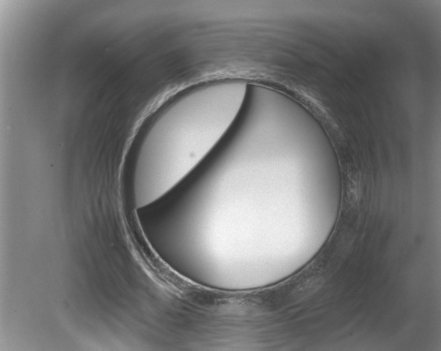 X0000080750678200612150958