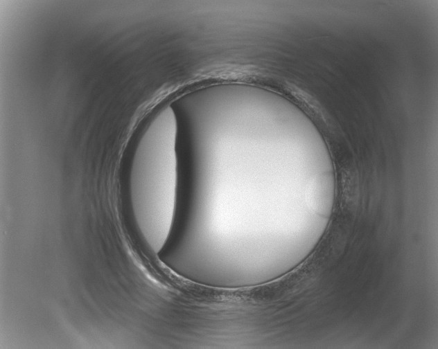 X0000080750682200612150958