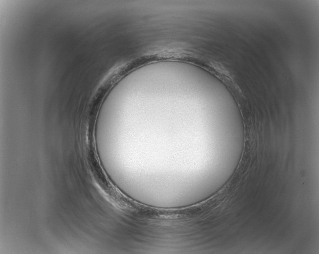 X0000080750686200612150958