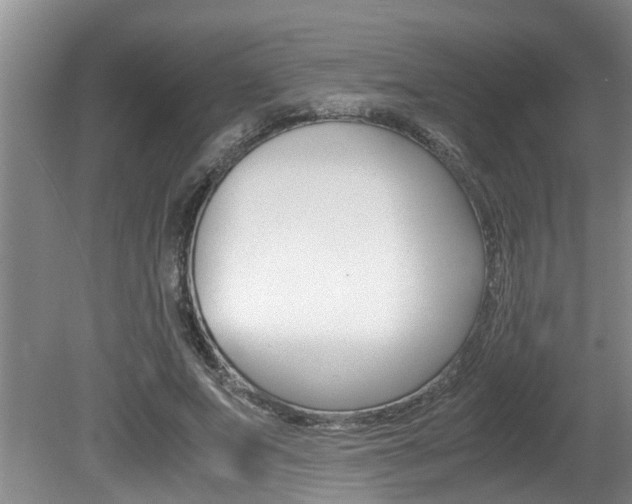 X0000080750687200612150958