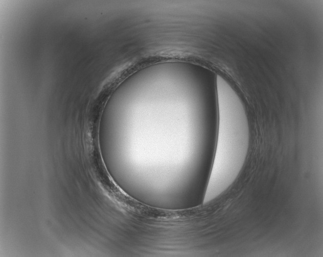 X0000080750688200612150958
