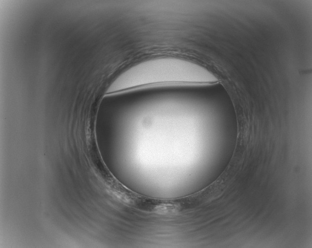 X0000080750700200612150958