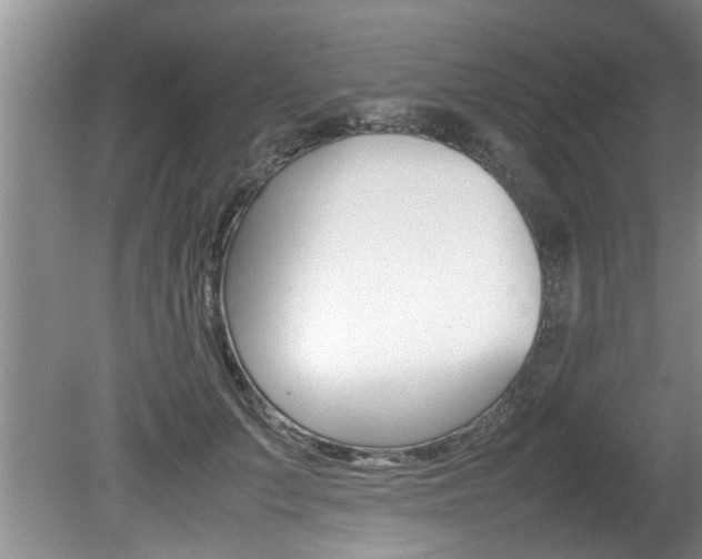 X0000080750703200612150958