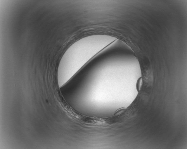 X0000080750715200612150958