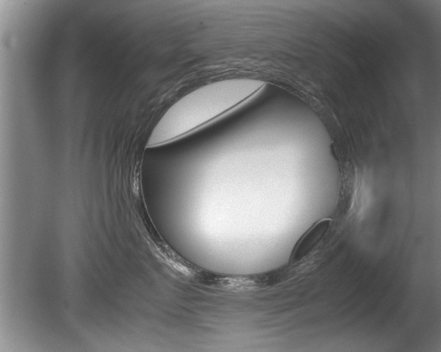 X0000080750719200612150958