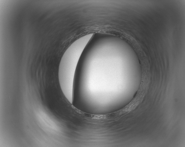 X0000080750720200612150958
