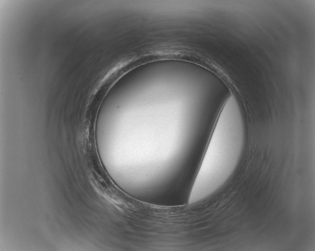 X0000080750723200612150957