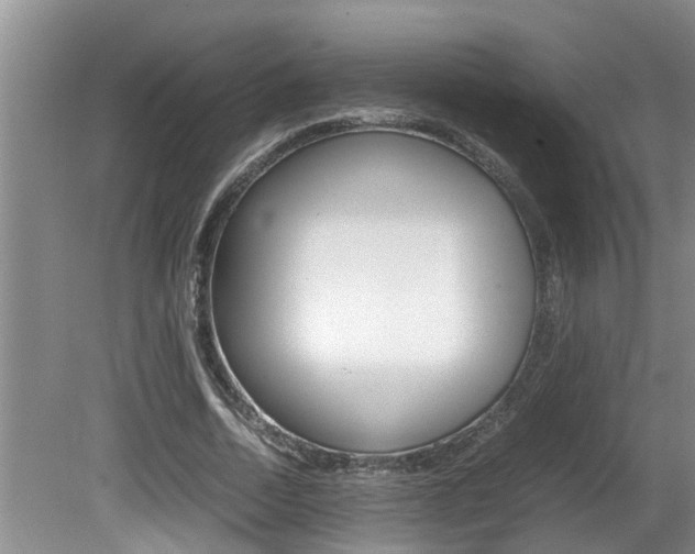 X0000080750730200612150957