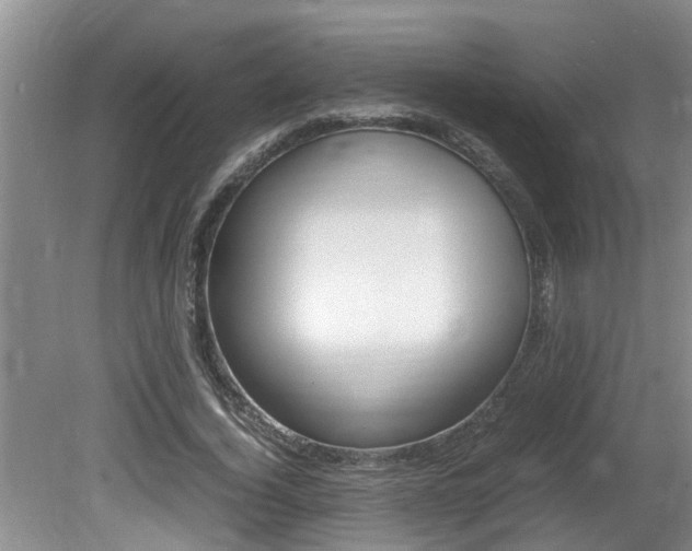 X0000080750732200612150957