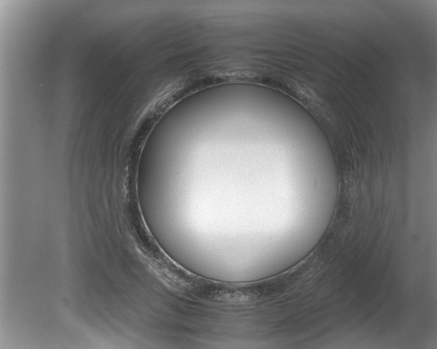 X0000080750735200612150957