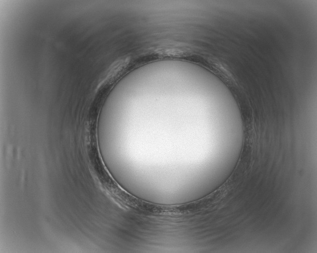 X0000080750738200612150957