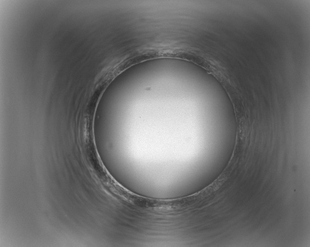 X0000080750740200612150957