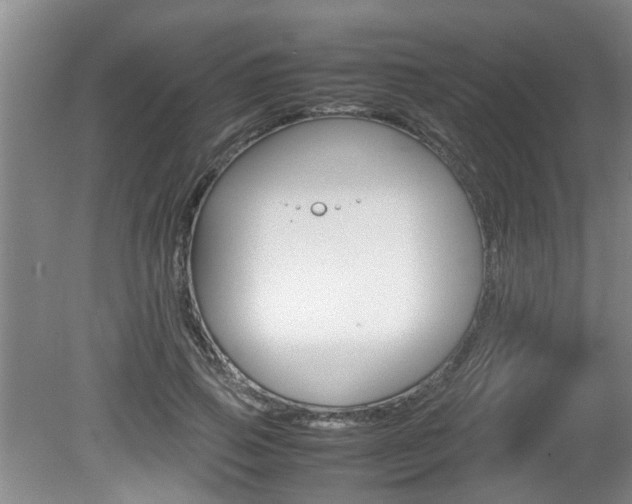 X0000080750741200612150957