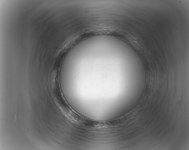 X0000080750742200612150957