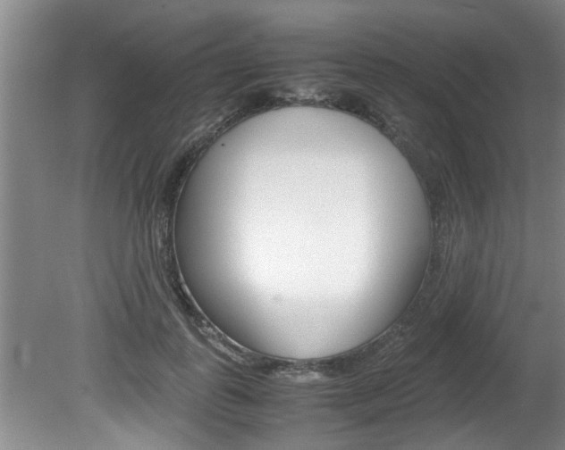 X0000080750747200612150957