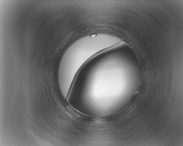 X0000080750750200612150957
