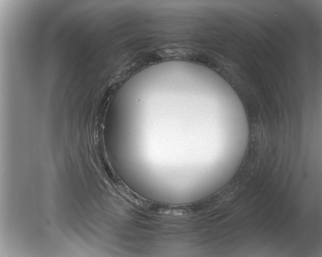 X0000080750751200612150957
