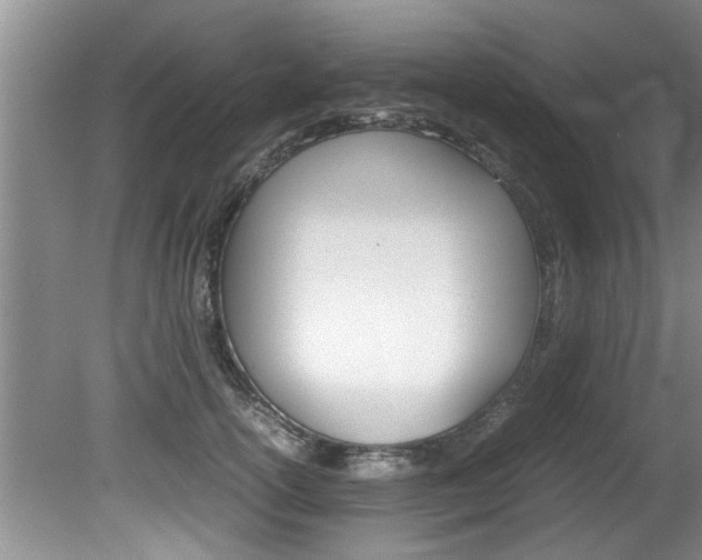 X0000080750754200612150957