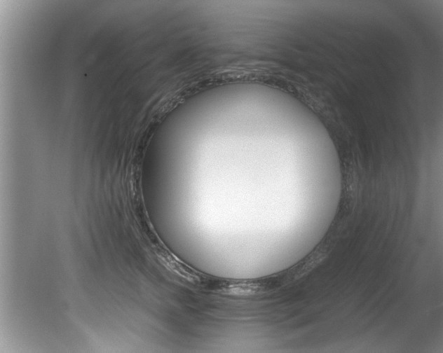 X0000080750758200612150957