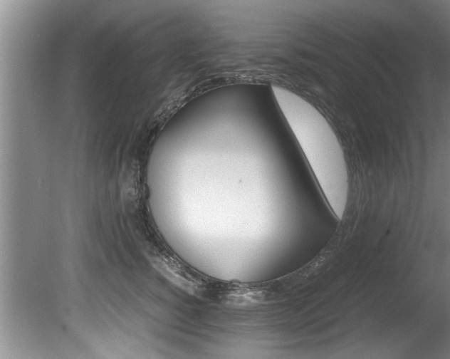 X0000080750760200612150957