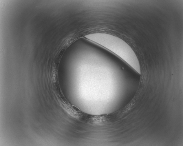 X0000080750762200612150957