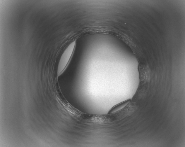X0000080750764200612150958
