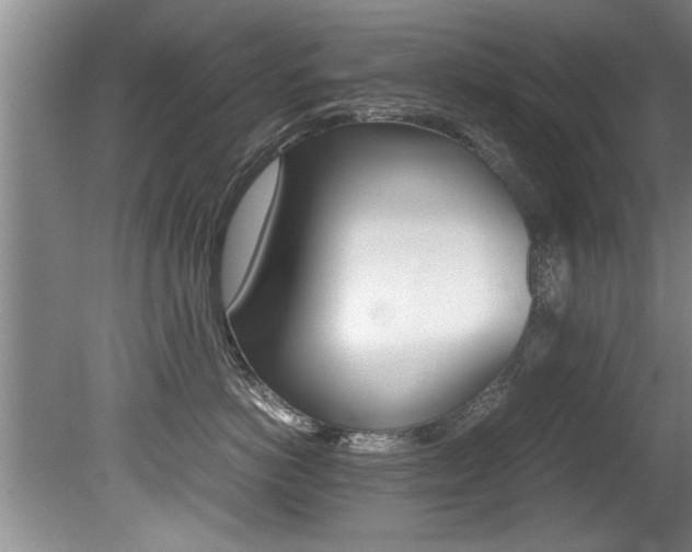 X0000080750766200612150958