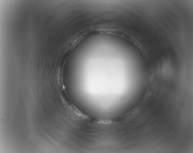 X0000080750767200612150958