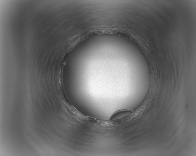 X0000080750768200612150958