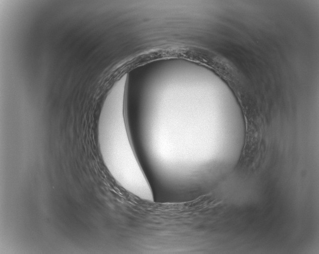 X0000080750773200612150957