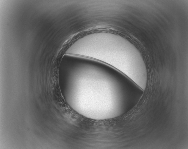X0000080750776200612150957