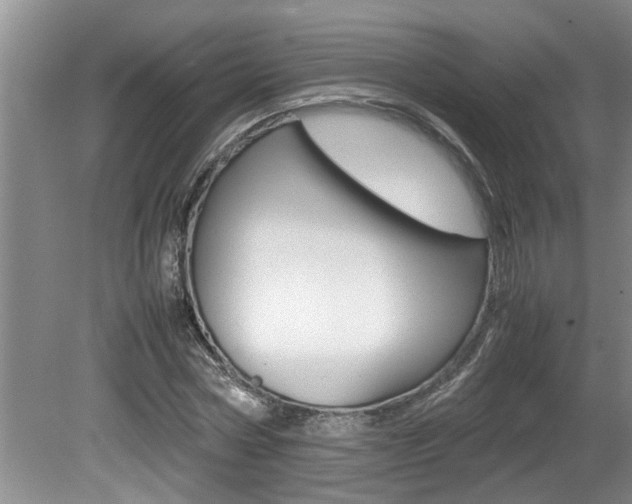 X0000080750778200612150957