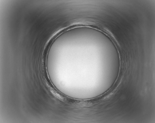 X0000080750779200612150957