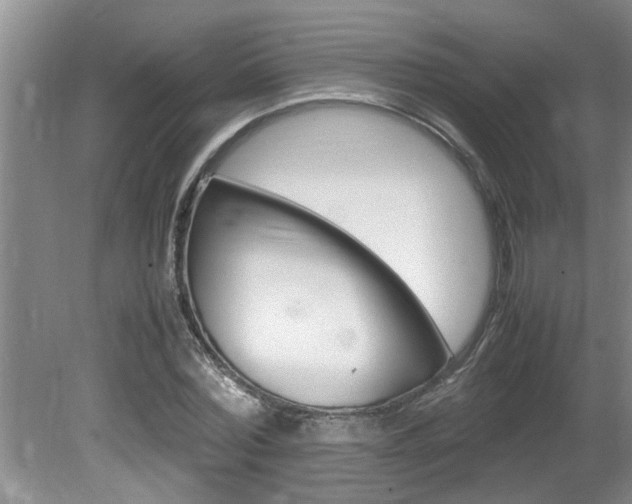 X0000080750780200612150957