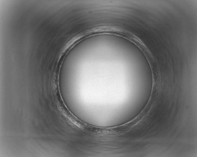 X0000080750786200612150956