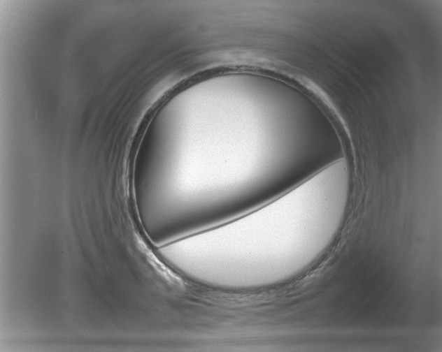 X0000080750791200612150956