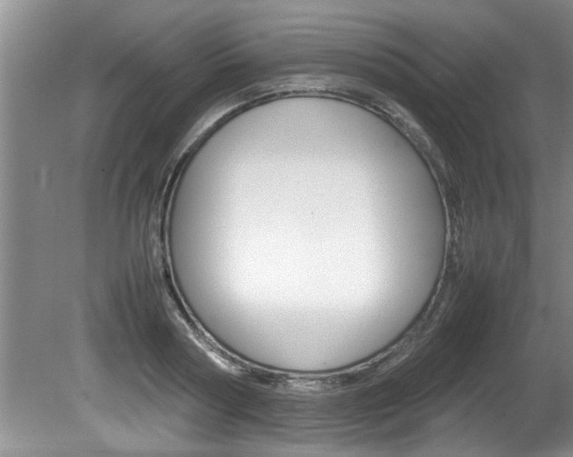 X0000080750794200612150956