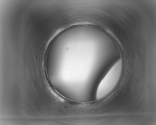 X0000080750797200612150956