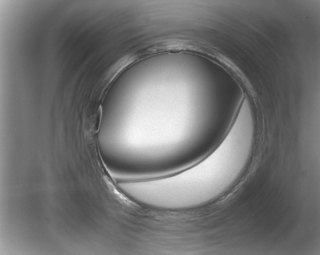 X0000080750801200612150956