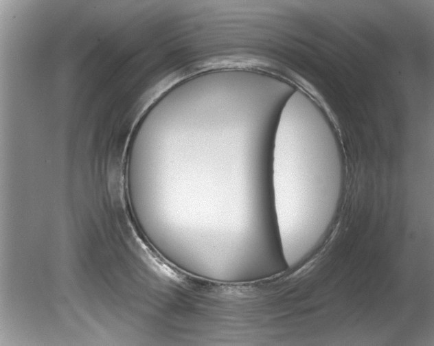 X0000080750802200612150956