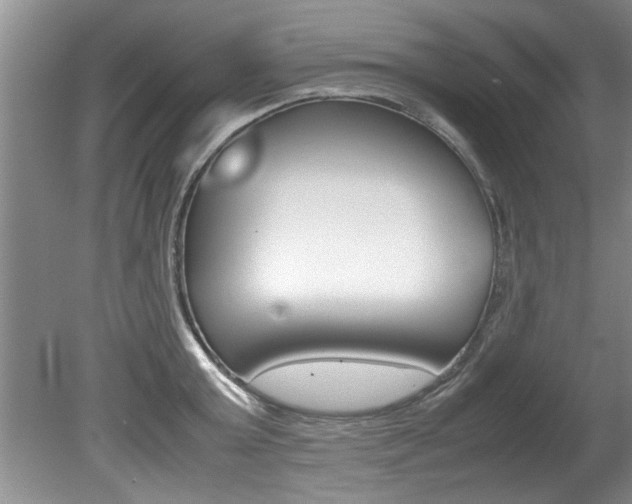 X0000080750803200612150956