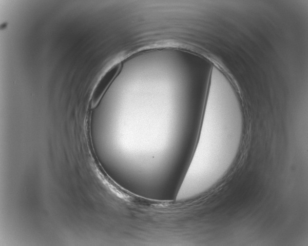 X0000080750805200612150956