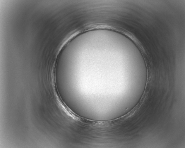 X0000080750806200612150956